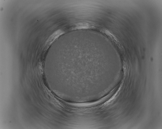 X0000063481353200601231336