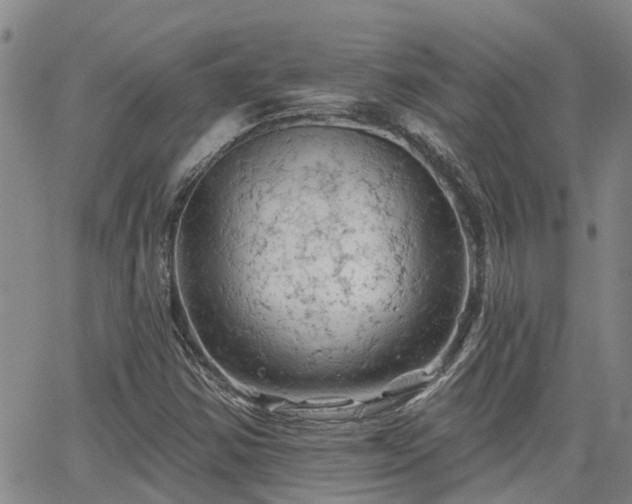 X0000063481354200601231336