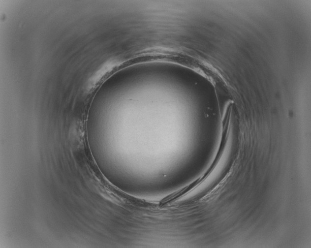 X0000063481355200601231336