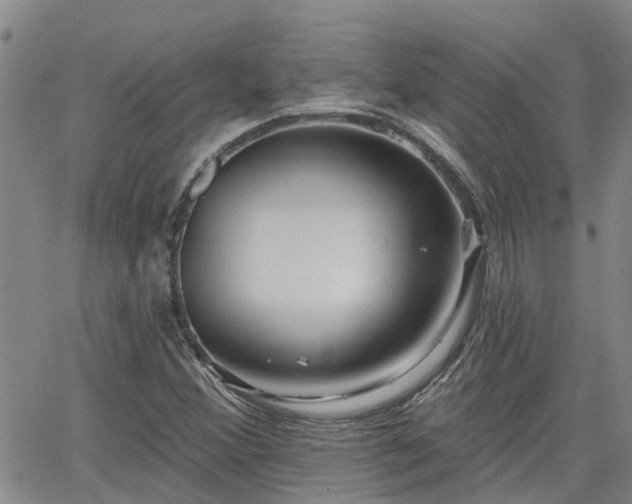 X0000063481356200601231336