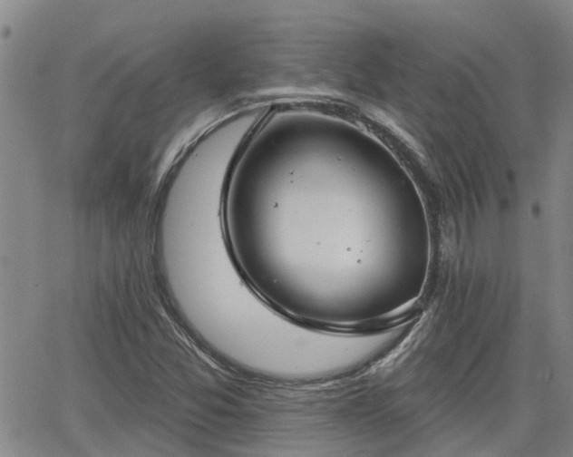 X0000063481357200601231336