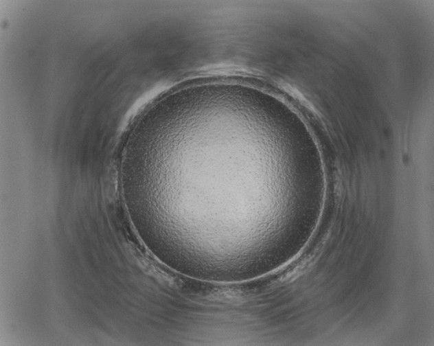 X0000063481358200601231336