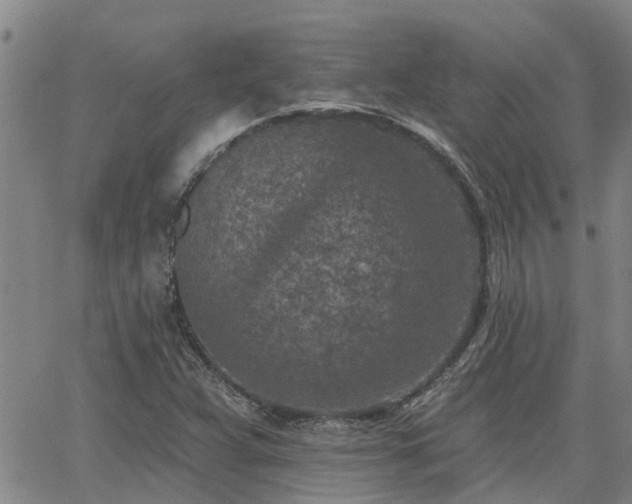 X0000063481359200601231336