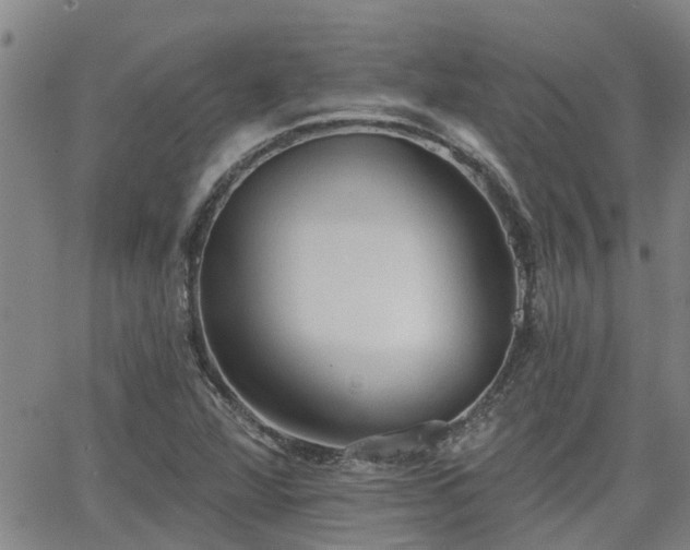 X0000063481360200601231336