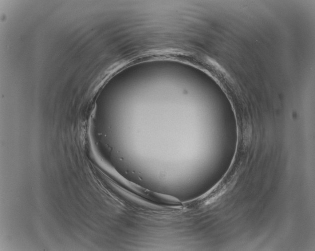 X0000063481361200601231336