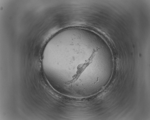 X0000063481363200601231336