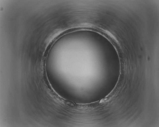 X0000063481364200601231336