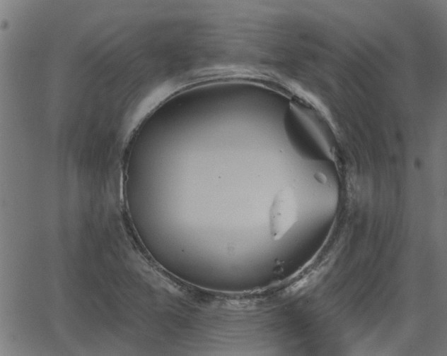 X0000063481365200601231336