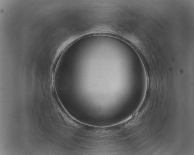 X0000063481366200601231336