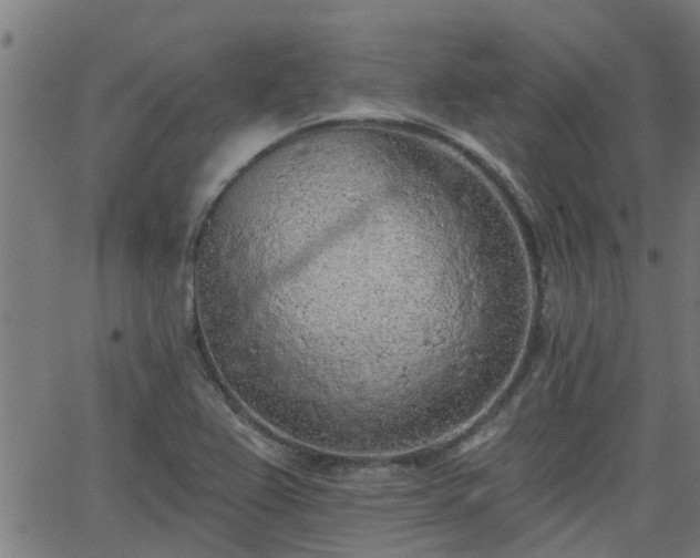 X0000063481367200601231336