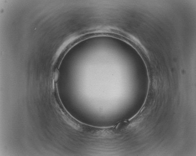 X0000063481368200601231336