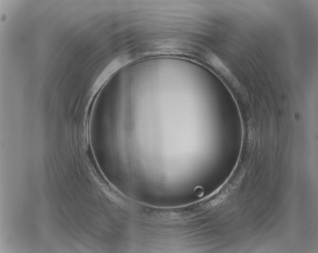 X0000063481370200601231336