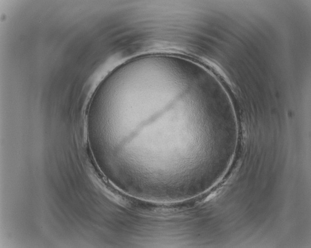 X0000063481371200601231336