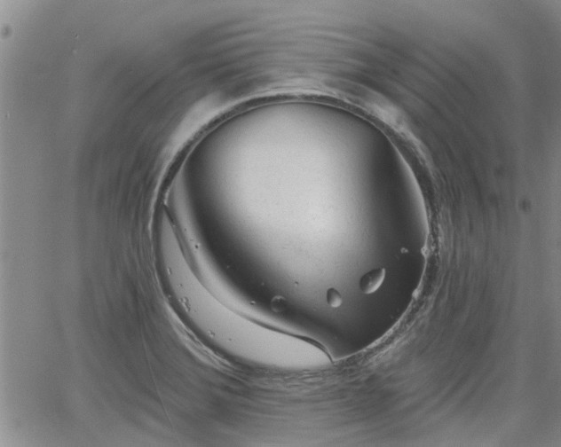 X0000063481372200601231336