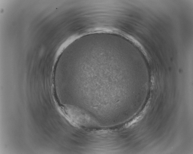 X0000063481373200601231336