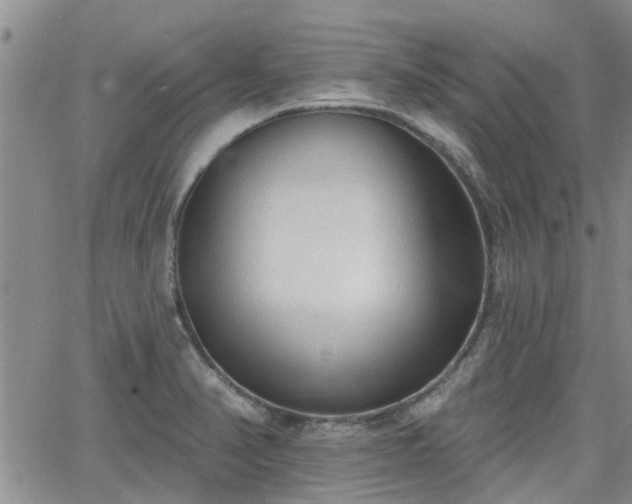 X0000063481374200601231336