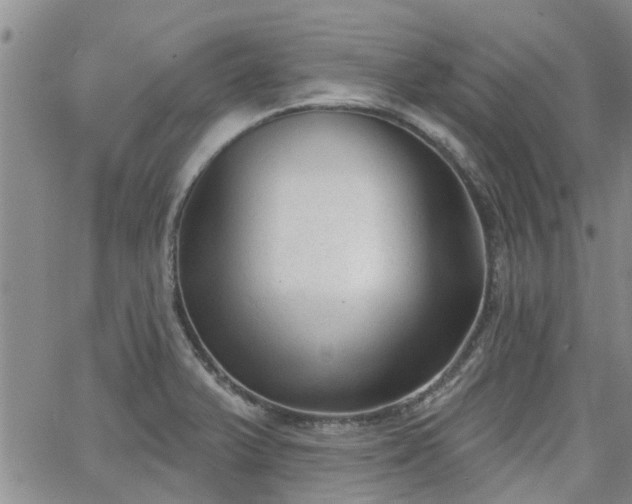 X0000063481375200601231336