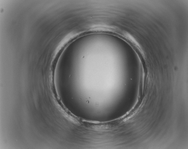 X0000063481376200601231336