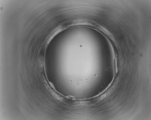 X0000063481377200601231336