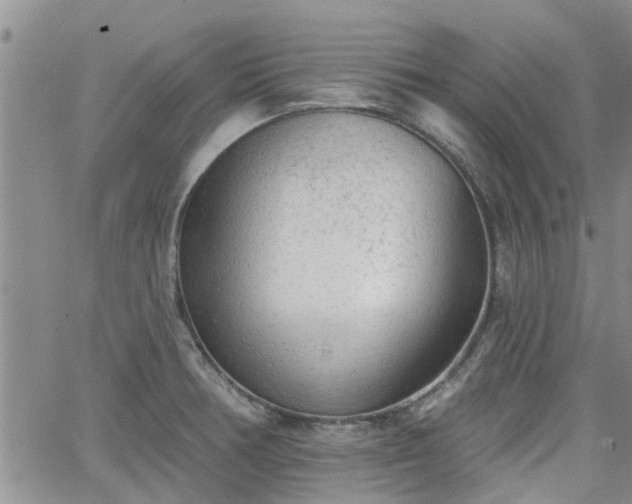 X0000063481378200601231336