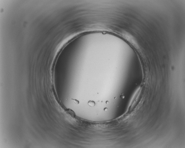 X0000063481380200601231336