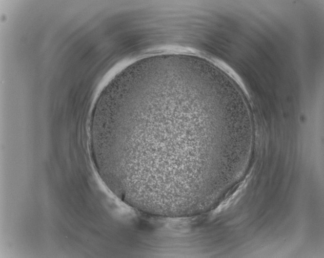 X0000063481381200601231336