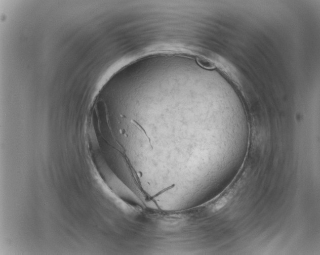 X0000063481382200601231336