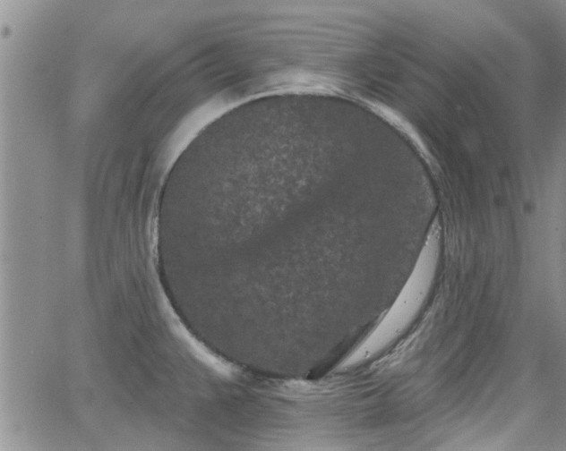 X0000063481383200601231336