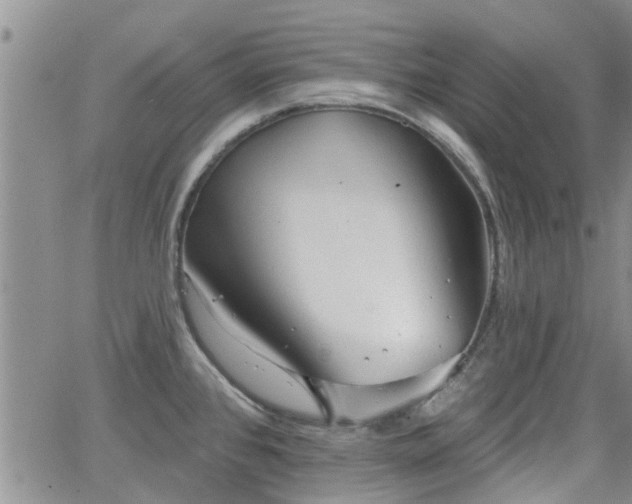 X0000063481384200601231336