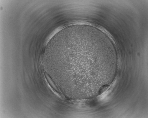 X0000063481385200601231336