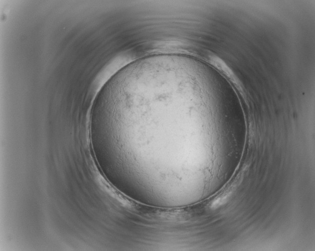 X0000063481386200601231336