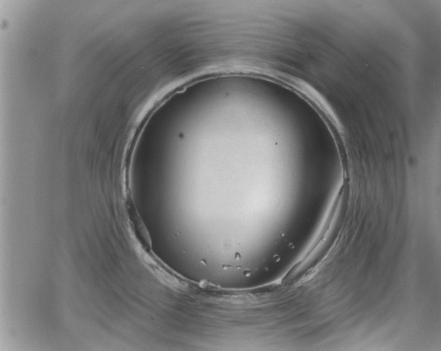 X0000063481388200601231336