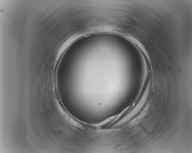 X0000063481389200601231336