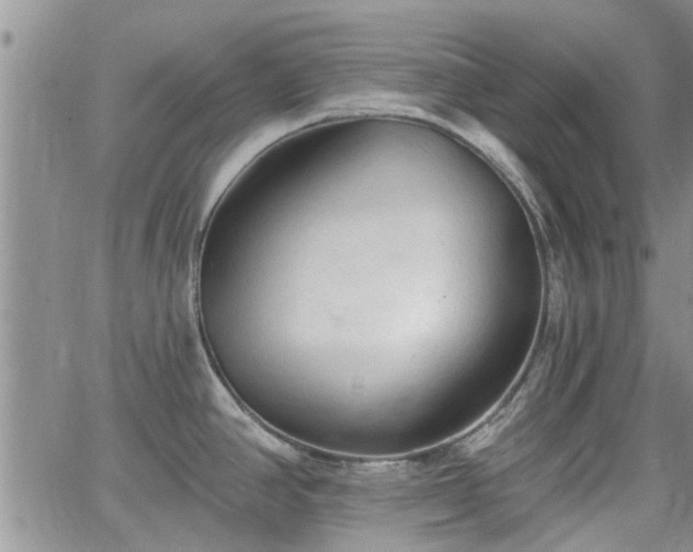 X0000063481390200601231336