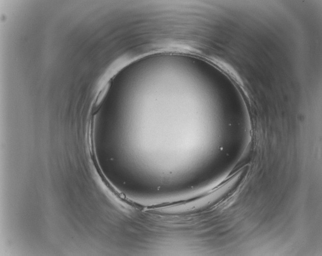 X0000063481391200601231336