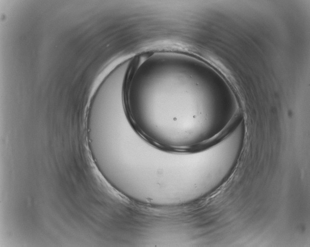 X0000063481392200601231336