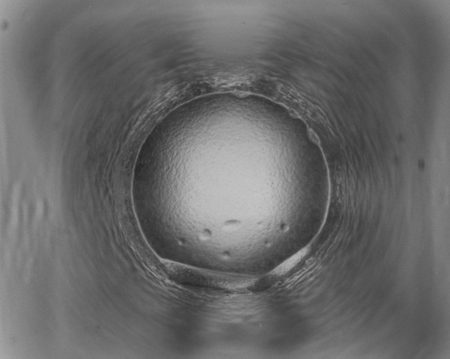 X0000063481393200601231335