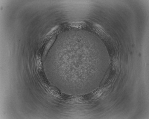 X0000063481394200601231335