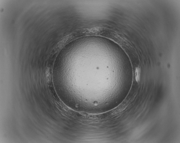 X0000063481395200601231335