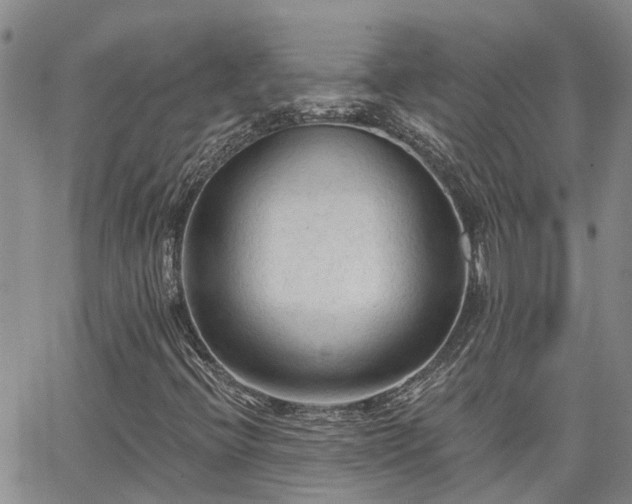 X0000063481396200601231335