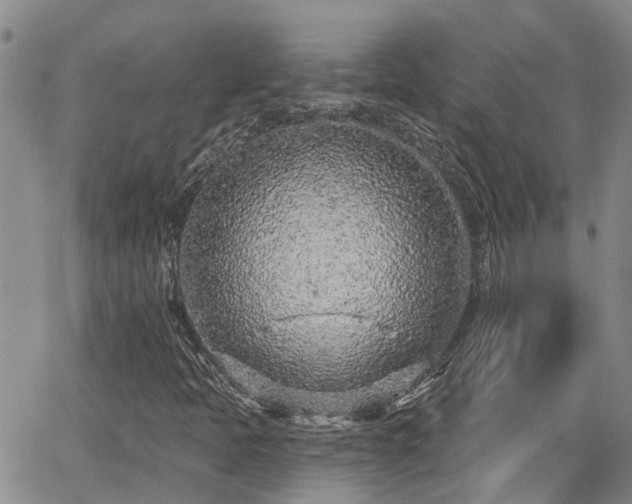 X0000063481397200601231335