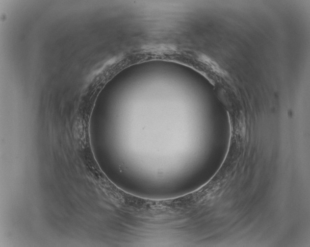 X0000063481398200601231335