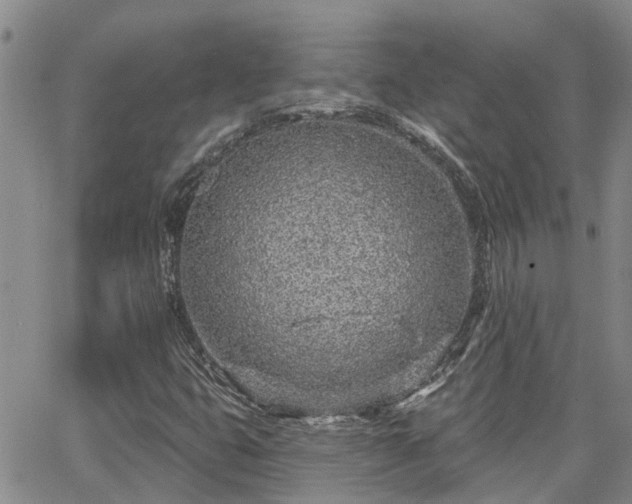 X0000063481399200601231335