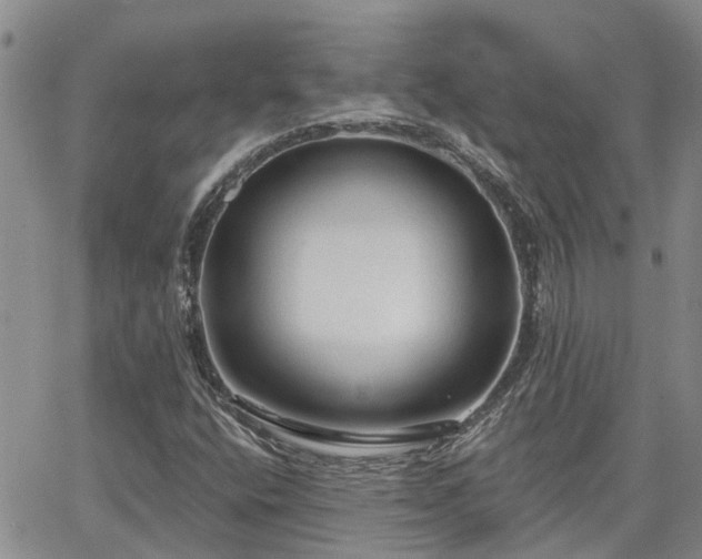 X0000063481400200601231335