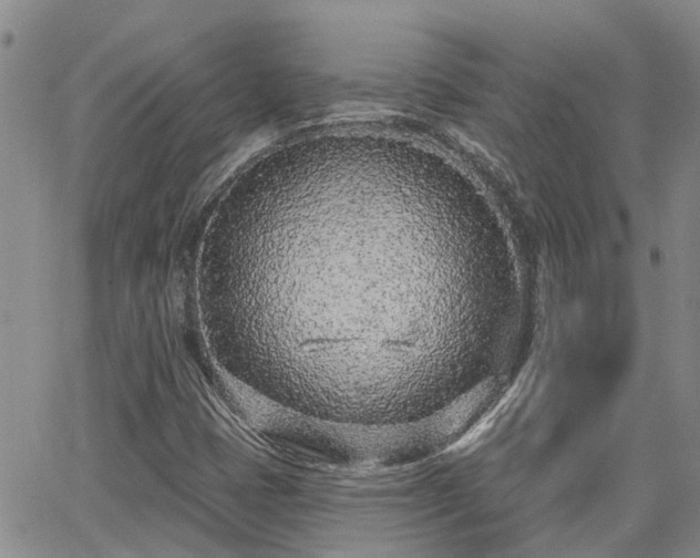 X0000063481401200601231335