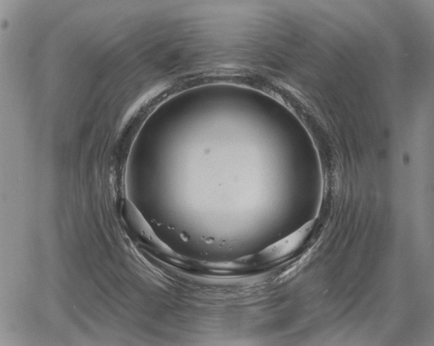 X0000063481402200601231335