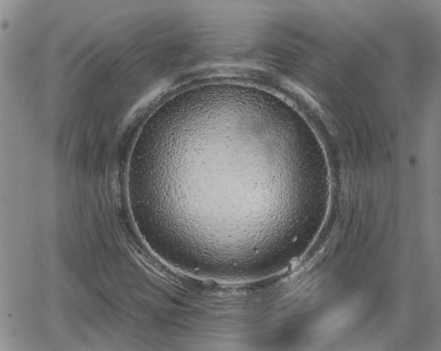 X0000063481403200601231335