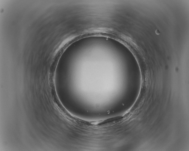 X0000063481404200601231335