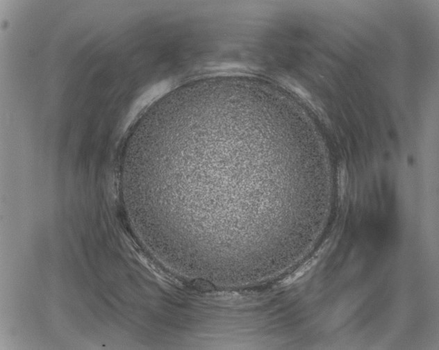 X0000063481405200601231335