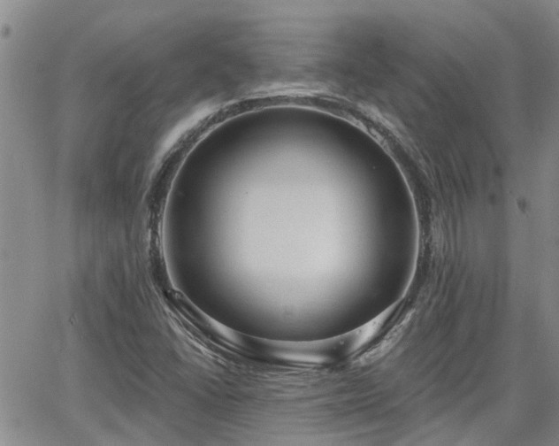 X0000063481406200601231335